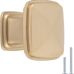Brushed Gold Cabinet Knob (Set of 2)